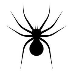 Spider icon isolated white background