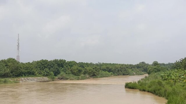 trees by the river, tropical island and river views