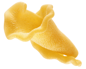 raw Campanelle, uncooked Italian Pasta, isolated on white background, full depth of field