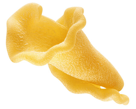 raw Campanelle, uncooked Italian Pasta, isolated on white background, full depth of field