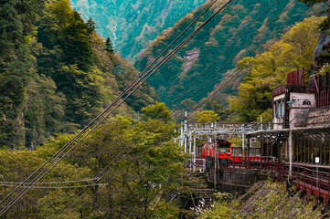 山の谷間、秘境の立山で自然と調和する黒部峡谷電車