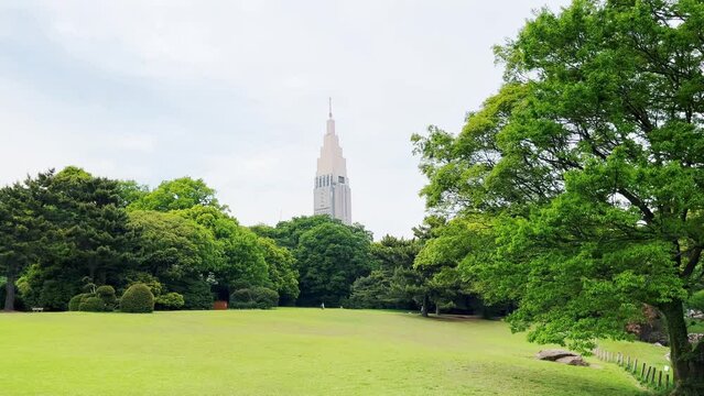 明治神宮　宝物殿前芝地から望むNTTドコモ代々木ビル