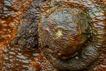 old rusted steel weathered by the sea