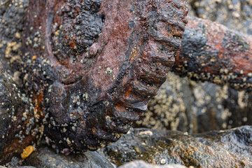 Fototapeta premium close up of rusted steel cog