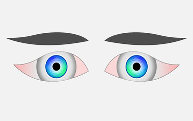 Illustration of beautiful eyes and eyebrows on white background.