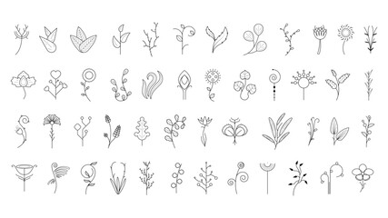 Fototapeta na wymiar Big Abstract Set Doodle Elements Hand Drawn Collection Botanic Herbal Flora Leaf Branch Vine Flower Plant Elements F Vector Desgin Style