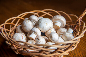 Mushrooms after picking in a wooden basket...the sun shines on the mushrooms...