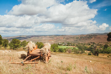Obraz premium An ancient wooden cart loaded with hay against the backdrop of fertile fields and hills. Farming and agriculture.