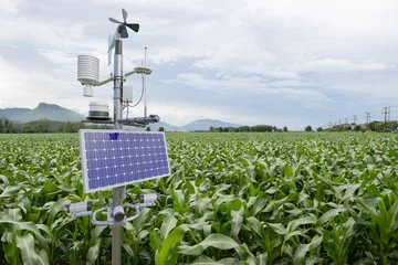 Fotobehang Weather station in corn field, 5G technology with smart farming concept © kinwun
