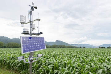 Weather station in corn field, 5G technology with smart farming concept