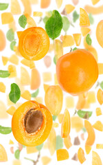 Apricot Slice and Leaf Abstract