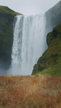 Epic Skogafoss waterfall with foliage in foreground, Iceland
