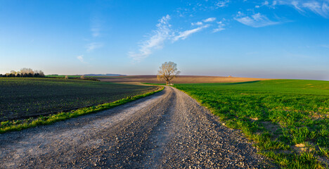 Sunrise farmland view on rural meadows © llama