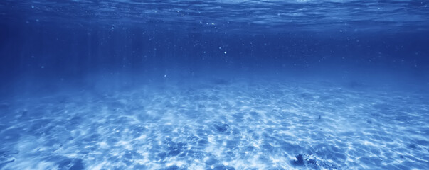 seascape panorama underwater flock of fish in the water