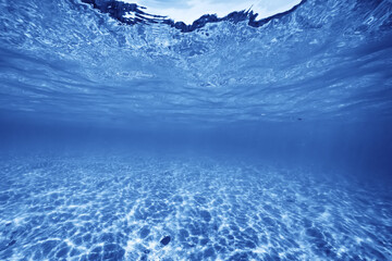 underwater photo blue background panorama ocean surface and bottom of the sea