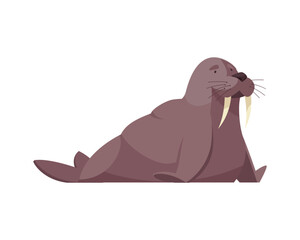 Flat Walrus Illustration