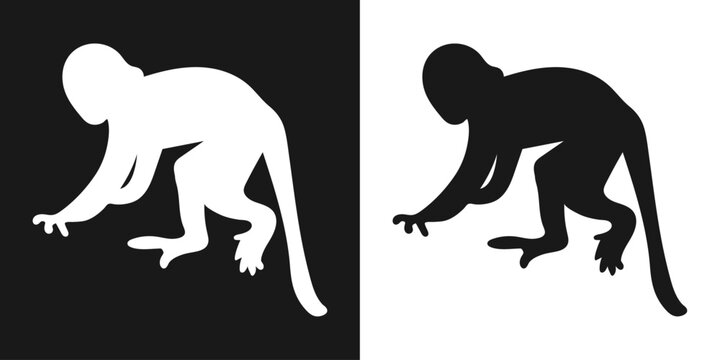 The Capuchin monkey. A set of isolated icons, a black-and-white logo on a white-and-black background