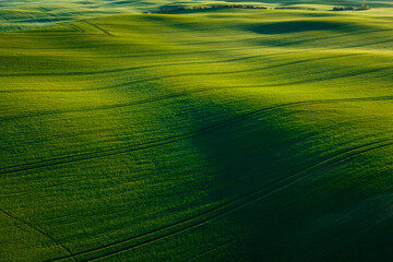 Obraz premium Aerial landscape of the green fields in northern Poland at spring time.