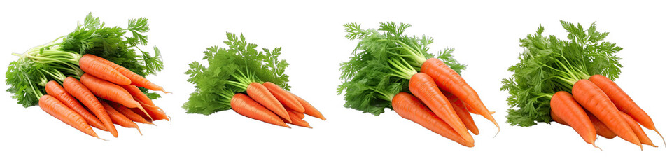 Set of Carrots on transparent background