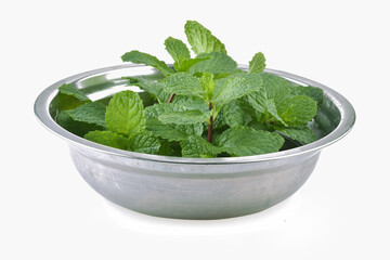 Mint leaves isolated on white background