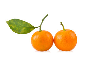 Fototapeta na wymiar kumquat orange that placed on white background