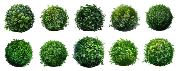 Set of round bushes on transparent background