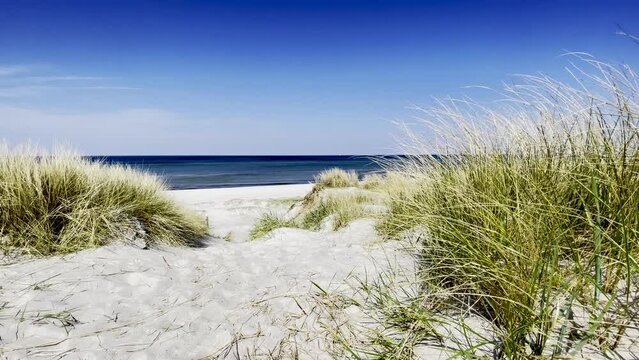 D&uuml;nen am Ostseestrand im Sommer