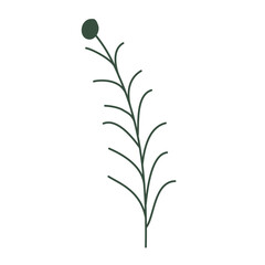 Aesthetic floral plant elements illustration template