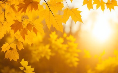 A close-up of a tree with yellow leaves in autumn. - obrazy, fototapety, plakaty