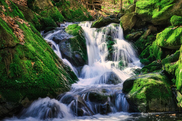 Wasserfall - Moos - Wald - Grün - Natural waterfall with rocks and green moss