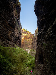 Experience the natural wonder of Barranco del infierno ravine, Hell's gorge, with tourists hiking through lush nature amidst high cliffs, as the golden morning sun illuminates the ravine in Tenerife.