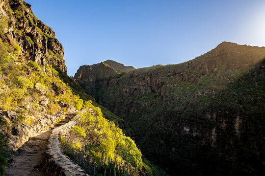 Explore the mystery of Barranco del Infierno ravine Tenerife on a morning hike with sunlight illuminating the path in this famous gorge in Adeje, offering an idyllic and atmospheric nature experience.