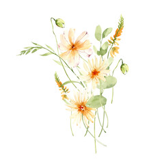 Watercolor minimalistic bouquet, field flowers, floral arrangement, png illustration.