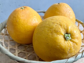 和製グレープフルーツ　カゴいっぱいの河内晩柑