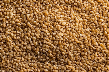 Fototapeta premium Close-up of a lot of sesame seeds.Generative AI