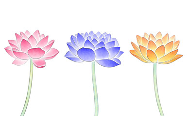 Lotus flower watercolor illustration isolated on transparent background 