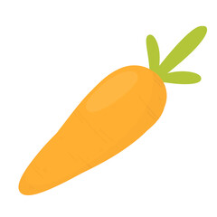 Carrot, Growing carrot, Gardening illustration 