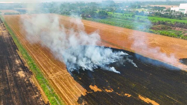 The burning of agricultural land, It can also contribute to air pollution and climate change by releasing greenhouse gases such as carbon dioxide, methane, and nitrous oxide. Air pollution concept
