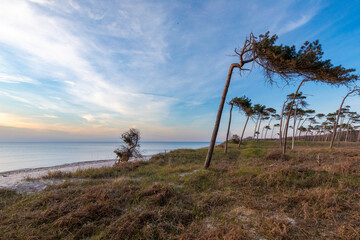 Darßer Weststrand, einer der schönsten Strände der Welt.
