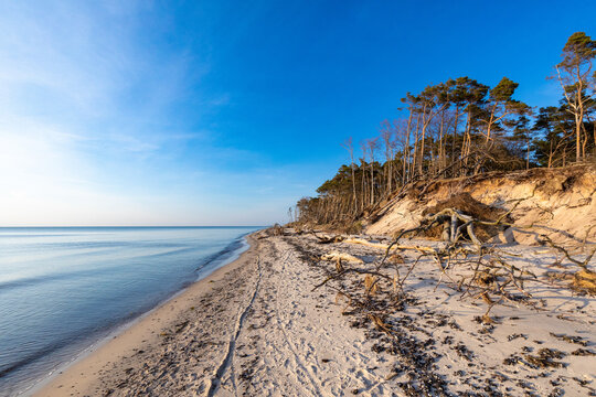 Dar&szlig;er Weststrand, einer der sch&ouml;nsten Str&auml;nde der Welt.