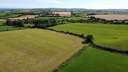 Green farm fields separated by shrubs, top view. Cattle pastures in the south of Ireland, landscape.