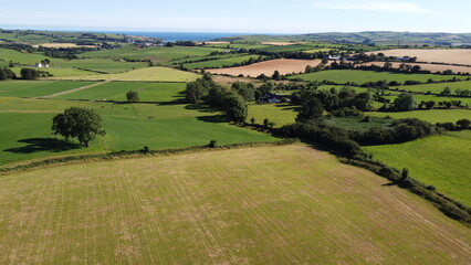 Fototapeta na wymiar farm plots in the Ireland, top view. Irish agrarian landscape. Green fields on a sunny summer day. Green grass field under blue sky