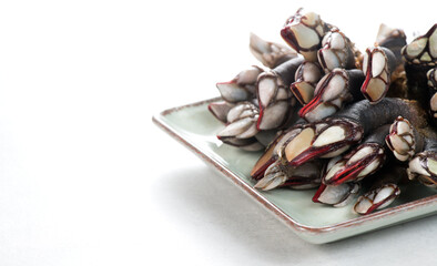 Barnacles, goose neck barnacle, percebes, gallician barnacles in a plate, isolated on white background, close-up. Border design. Pollicipes pollicipes. Expensive delicatessen, gourmet sea food.