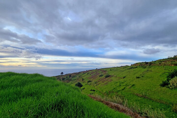 Obraz premium The green slope of an island in the Atlantic Ocean.