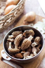 Spring Morel mushrooms in a metal bowl.