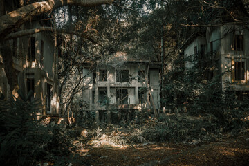Fototapeta na wymiar Old abandoned stone house in the jungle. Concrete gloomy abandoned house. Green trees. Dark jungle.