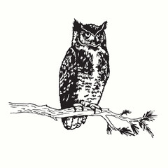 Great Horned Owl silhouettes and icons. Black flat color simple elegant Great Horned Owl animal vector and illustration.
