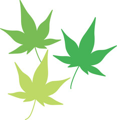 夏の緑色の紅葉のイラスト