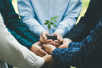 Environmental cooperation. Unity of businesspeople and community together protecting small sprout with hands. Future environmental conservation and sustainable ESG modernization development.