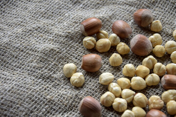 Ripe filbert kernels and hazelnuts in a shell on burlap background. Healthy nutrition. Close-up. Copy space. Shallow depth of field. Selective focus.